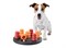 Игрушка skittles igrushki-dog5 - фото 4466